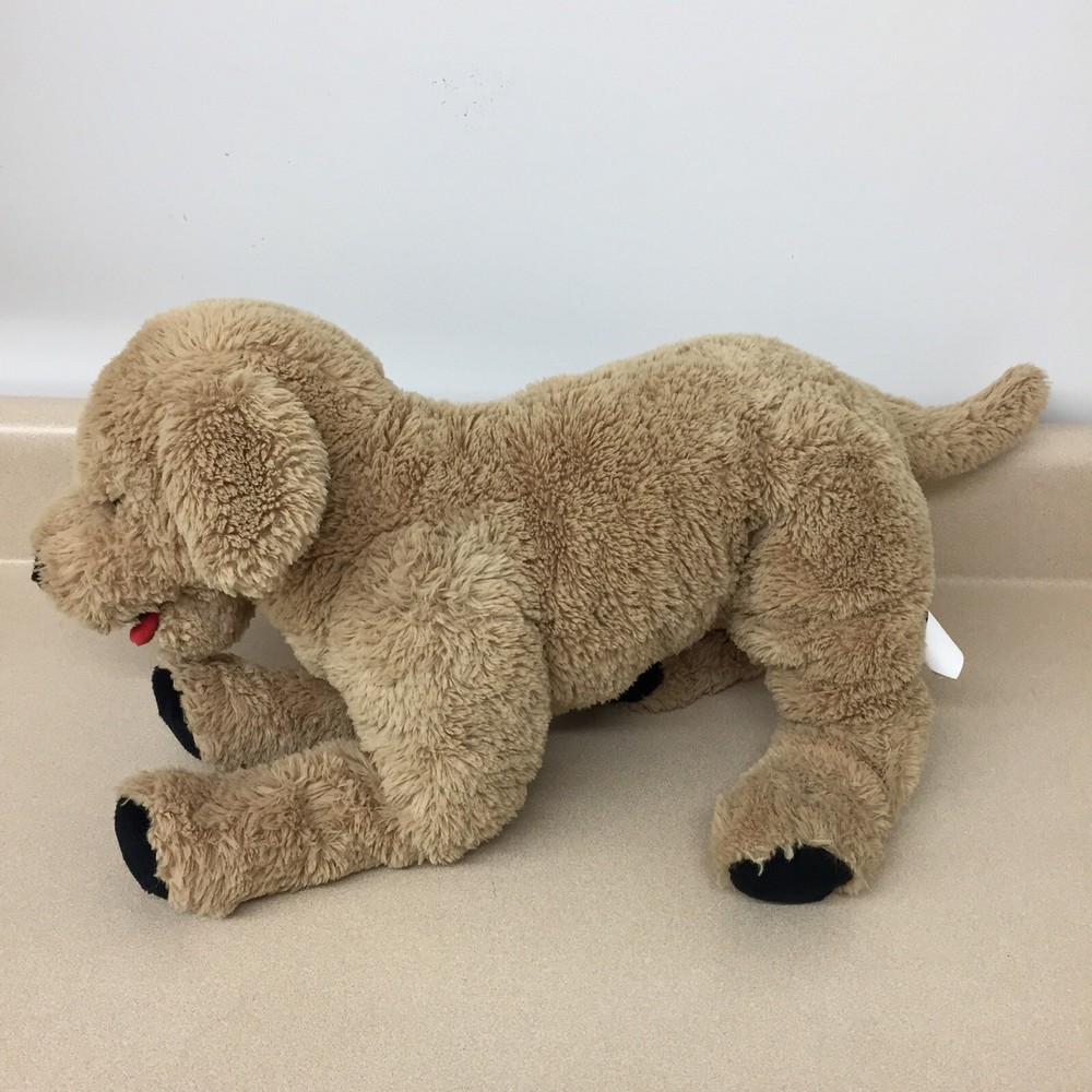 Golden Retriever Dog Plush 20” LotFancy Toys 2020 Embroidered Eyes Stuffed AR349