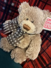 Plush Gotta Getta Gund 8” Teddy Bear 15151 Dawson Tag