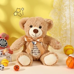 12 Inch Bear Stuffed Animals with Voice Recorder Photo Pendant Set 30 Seconds…