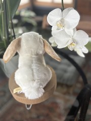 Miyoni Aurora Lop-Eared Bunny Plush 9″ Stuffed Animal Soft Easter Realistic