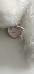 Luna the Samoyed – Little Live Pets My Really Real Puppy – TESTED