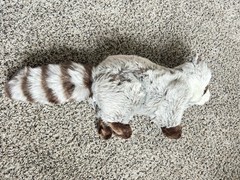 WEBKINZ SIGNATURE Raccoon WKS1004 New With Sealed Unused Code Ganz Plush Retired