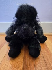 Ganz Webkinz 8″ Black Poodle Plush Retired Toy HM191 NWT