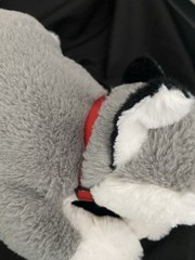 F.A.O. Schwarz Gray and White Husky Plush Dog