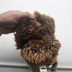 Kohl’s Cares Hedgehog Plush Stuffed Animal Toy Small Brown Soft Washable Cute