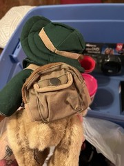 Ranger Gus Forest Friends Vintage Teddy Bear 2000 Plush 12”