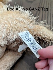 Webkinz Golden Retriever HM010 No Code Active Plush Stuffed Animal GANZ 2005