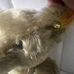 Steiff Teddybar Replica 1920 Classic Teddy bear Ear Button Mohair Germany 000713