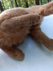 Melissa & Doug Large Golden Retriever Life-Size Plush Dog Stuffed Animal 31″