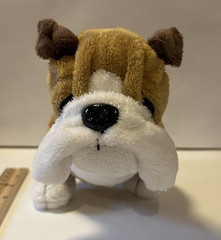 GANZ WEBKINZ BULLDOG 7″ PLUSH HM126 – NO CODE