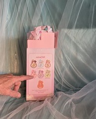 Liila’s Magic Fulu – Pink Plush, Colorful Embroidery, Box & Card