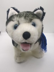 Arctic Circle Ent Siberian Husky puppy dog 11″ Alaska on blue scarf