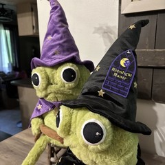 Moonlight Manor Frog Wizard & Frog W/ Pumpkin Plush Green/Purple Halloween NEW