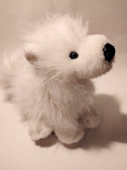 Webkinz Samoyed HM176 Ganz Retired Soft Fluffy White Dog Plush Toy NO CODE