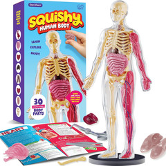 Human Anatomy Squishy Body Model – Science Kits for Kids Ages 4-8 – STEM Toys fo