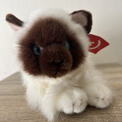 Aurora NWT Bella Flopsie Persian Himalayan Cat Blue Eyes Plush Stuffed Animal