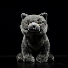 Lifelike British Shorthair Cat Plush Stuffed Animal Toy Cat Doll 32cm