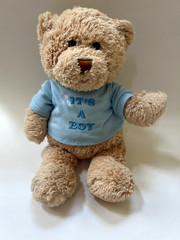 Gund Plush IT’S A BOY Teddy Bear Gender Reveal Blue T-Shirt Stuffed Animal 12″