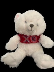 Hallmark White Plush XO Hugs & Kisses Valentine 10” Bear NWT Free Shipping