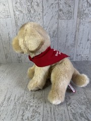 Douglas “DUFFY” YELLOW LAB Plush Puppy Dog #1962 Texas Children’s Hospital