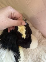 Medium Black White Orange Yellow Dog Stuffed Animal Plush Toy