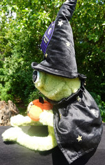Moonlight Manor FROG WIZARD Plush BLACK Pumpkin HALLOWEEN Brand New with TAG NWT