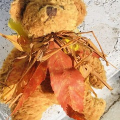 VTG Plushland Fall Bear Stuffed Animal Sunflower Leaves 8” Autumn Decoration ’00