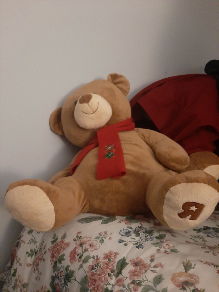 Toys R Us Teddy Bear over 15 years old. NWOT