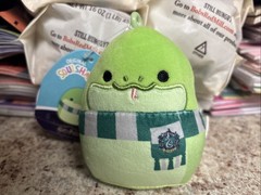 Squishmallows Harry Potter Slytherin 🐍 Clip SMALL BUSINESS CAT LADY🐈‍⬛🩰🐈🎻