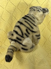 Antique Tiger Jointed Head and Yellow Glass Eyes (Mohair ?) 6 1/2″