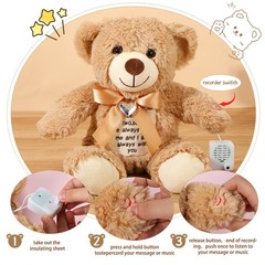 12 Inch Bear Stuffed Animals with Voice Recorder Photo Pendant Set 30 Seconds…