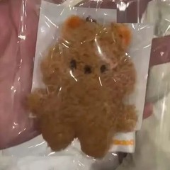 Skzoo Stray Kids M 2 Inch Stuffed Animal Plush Dolls Keychains Pendants