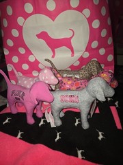 Victoria’s Secret PINK Dogs