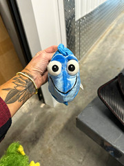 Disney Finding Nemo Dory Mini Plush Blue Fish Stuffed Animal 2016 MPN 2016001