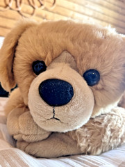 Golden Retriever Plush 44″ Body Pillow Plow & Hearth Cuddle Dog Realistic Animal
