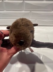 Vintage Soundprints plush Bat