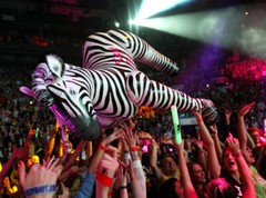 Jet Creations Inflatable Zebra Great For Safari Zoo Themed Children Parties Fun